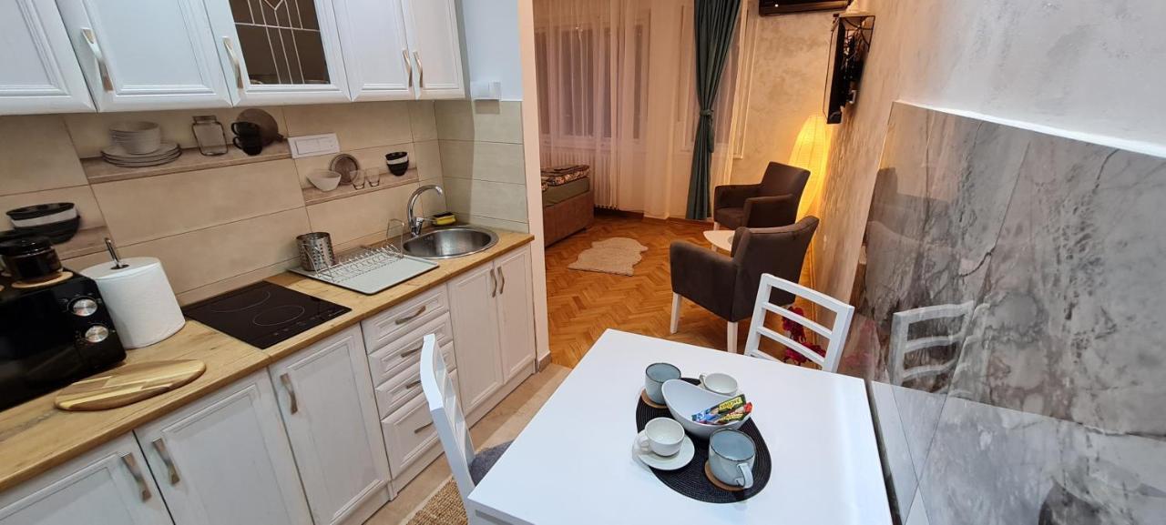 Olivera Apartment 贝尔格莱德 外观 照片