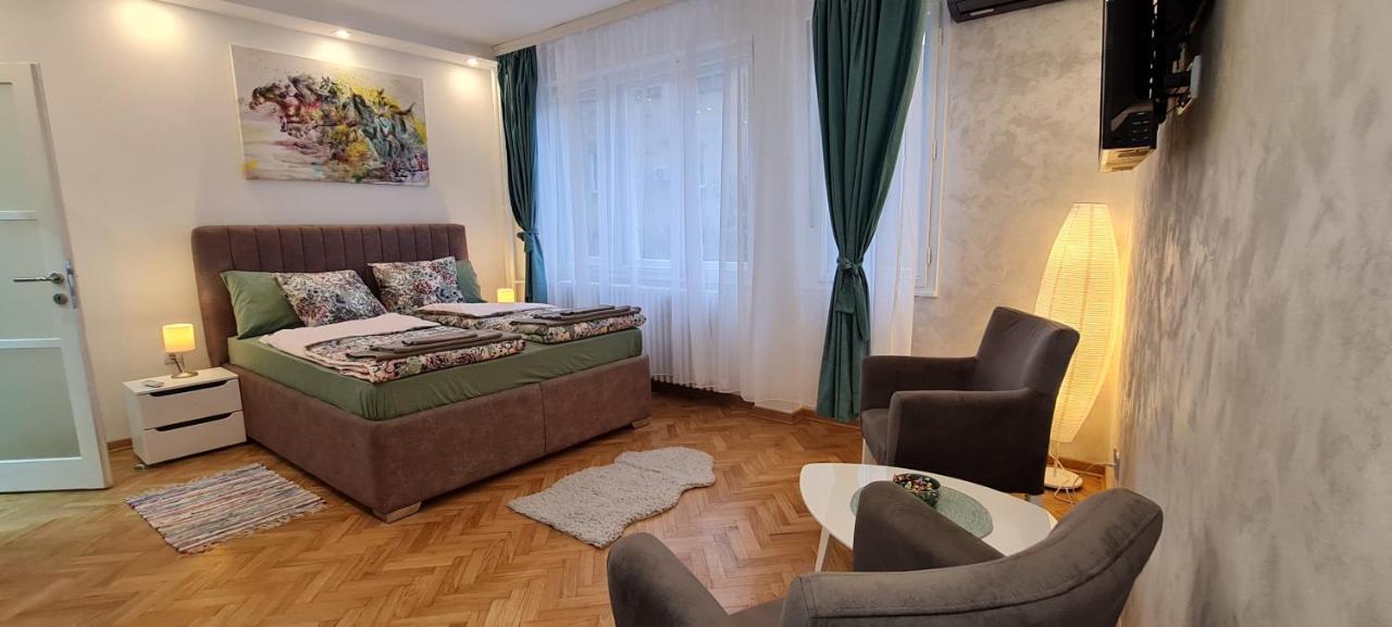 Olivera Apartment 贝尔格莱德 外观 照片