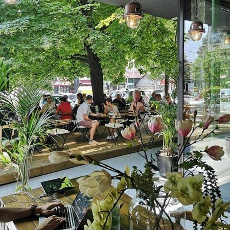 Olivera Apartment 贝尔格莱德 外观 照片