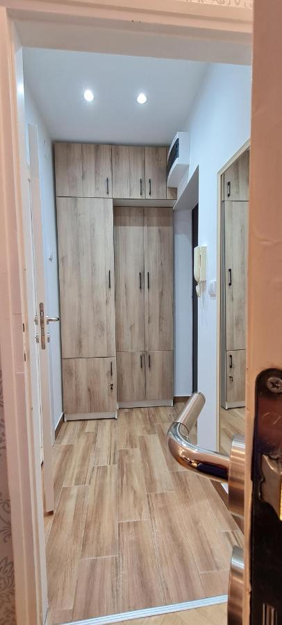 Olivera Apartment 贝尔格莱德 外观 照片