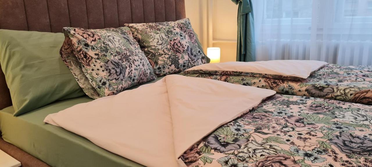 Olivera Apartment 贝尔格莱德 外观 照片